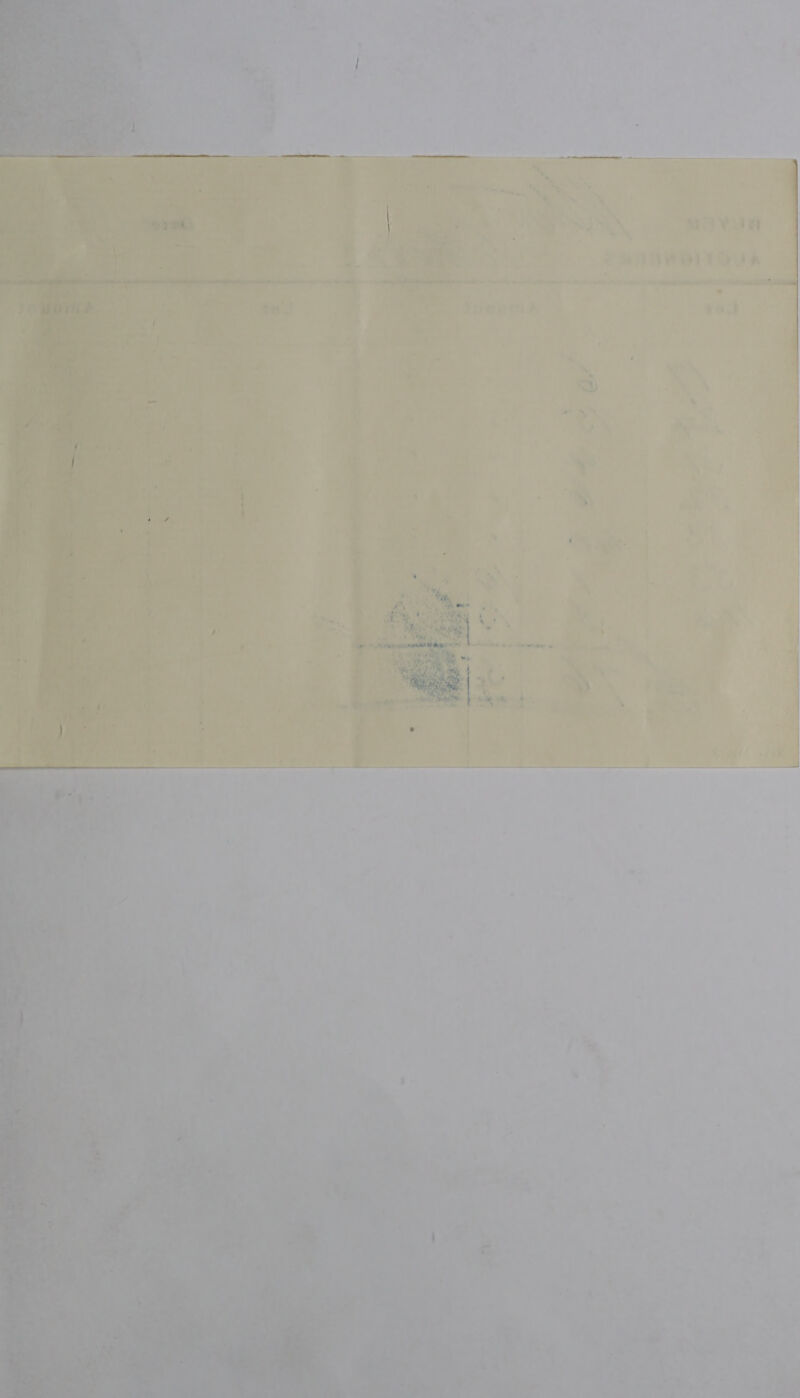  a catl —— ete Sm ‘ ‘ene .  ’ * ~~ wa / : La ne i <. ¥ . Re) 7 > P . o ¢ “6 P 4 * ( Beak . ~~ : j a i ne - _ ee “% Me ‘ Baas *y, bet * . ka 4 x “J \ « , a 7 - ' . mi 4 aie i, Tuas) . + BS x  » fe    a7