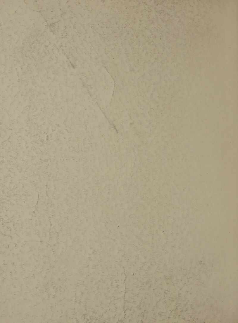 Oe ee Eh | “e # ai ad et td i ery “ae - eh ieee : a De ee ger i ae 5 MY, ae a Ape FeO, 