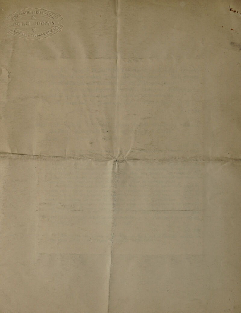   ot pgp raster ee ee Se  by a OR em x a a 4 es» Ss ? 4 4 fe ? { - o\ : 0 “i > ee Ss 4 : $0 r - + - ys a 7 _ - Z  5 ‘ ‘ a ’ “| . v4 ¥ x ,  