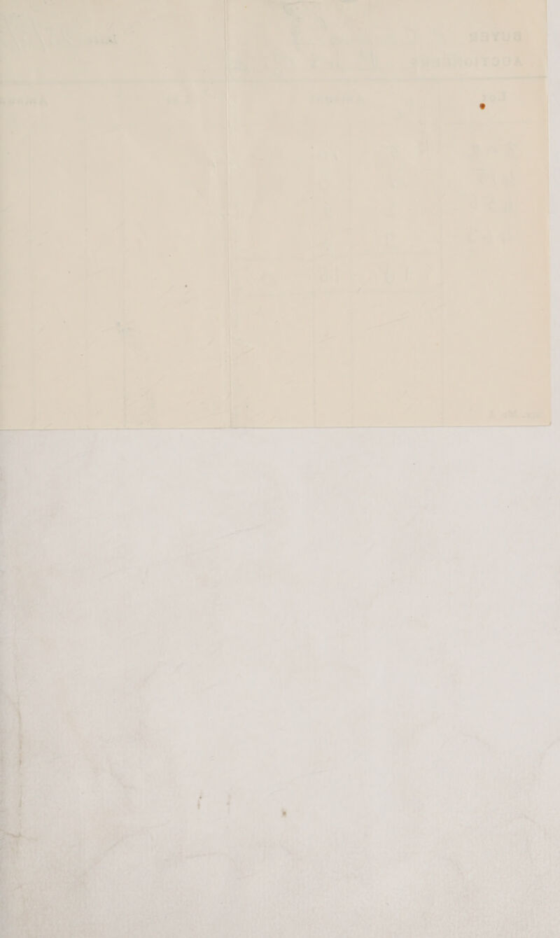 #5 ¥u8 4 ; 1 7UUAMOITOOR aS |  ne 