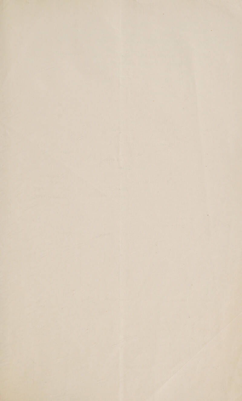 ‘ WHS oy admaye a ~ 