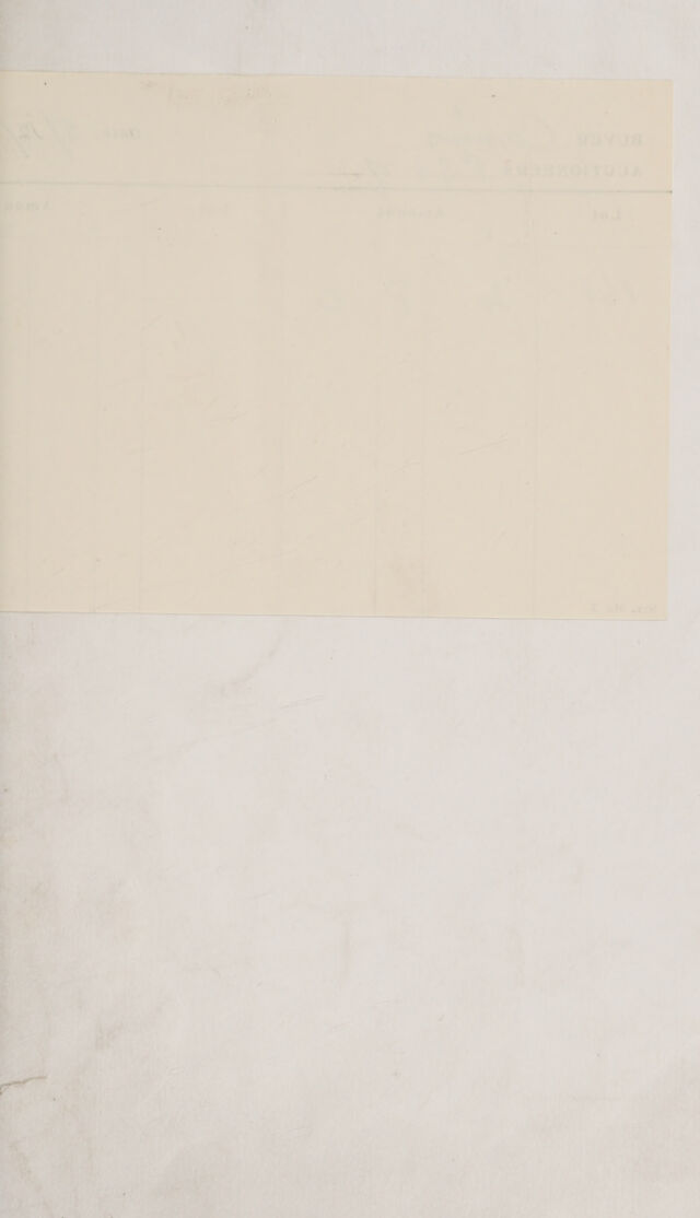 digitised image 3