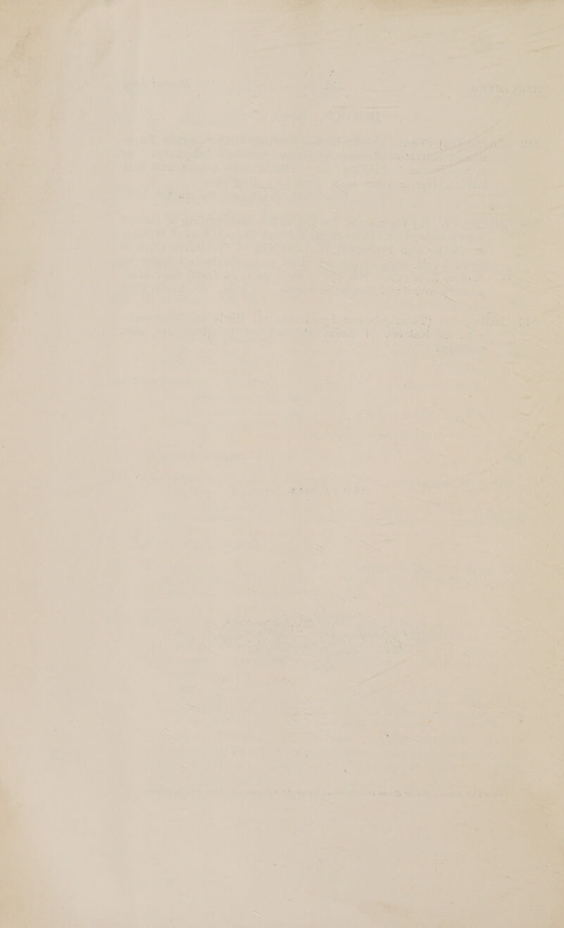 ¥. ¥ dj ro Sp F f a2 S. aee by Ue ey ‘ nat is, ee a r eee ae t * A 2 Peery - « sens a + 