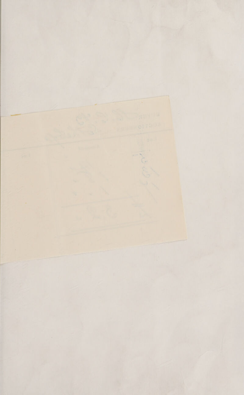 snucme ze -” a Ps  ¥ ht ie = ae ae —— Pt a ANS wal os es &gt; - 7 i at a = : ae a a a : : t io A\ ? a : : f + , . &gt; ; \ tes AN - ! . Loa NS . ue AN 4 d 7 ' + a 7 7 a hy anh \Sowkh wos , See ge aot i Ay 7 h a ane A 4 ; ® 7 ‘ ~ tee: ee eee OU ee ia erp NY PRA i oe  Abie Zk