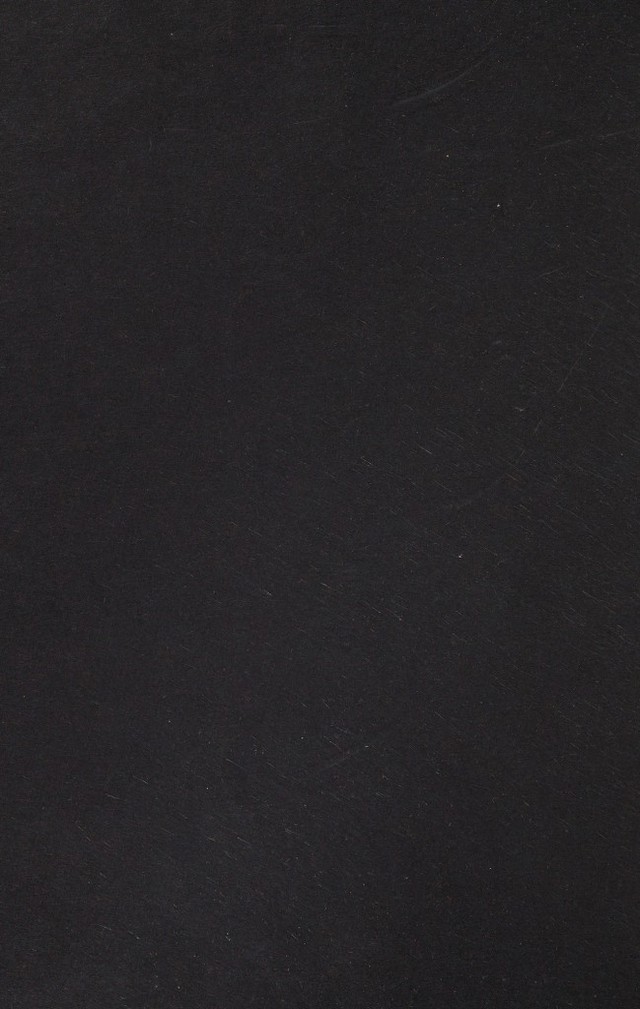 digitised image 2