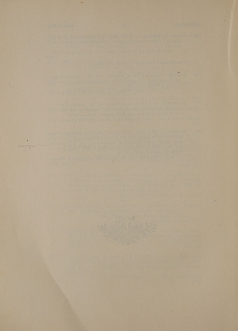 oe if x > 4 4 ma  As a - \ i opr Ww re 3 1 Ae ae: a) ) Beye ie! “ 4 Caled fcnipig*h ‘ “A: Sua i? : Pie i Fae ima ee ot Siu shag hed tives ©. ae tee 
