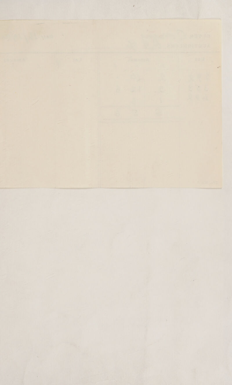 oe “ep 9 nas S66 --e, a 7 “+ P woe eee : ; ~   