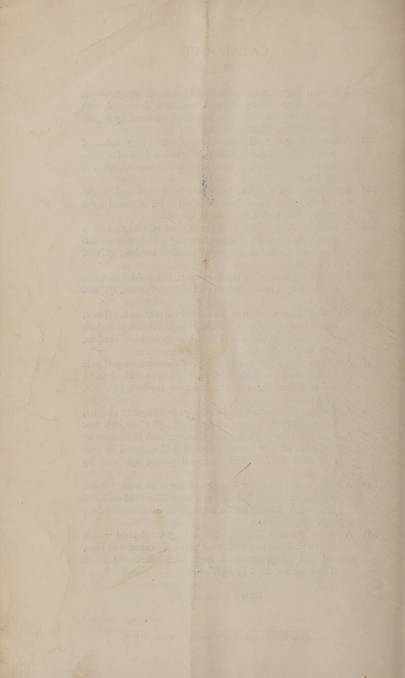    ! A 2 : Ay F i 5 ; ; F bee y a Cie 