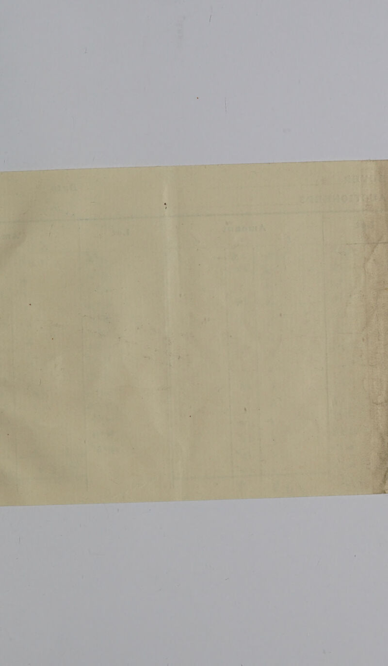     ns ‘3 a= roe t i es | VE ‘  we : ted : Pe), : > : A i : De 2) San ee ’ - ‘ - : a o ® ; a , ; - 7 i A wv oh nou *   _ . Cue~ ¢ tn aug ae ts