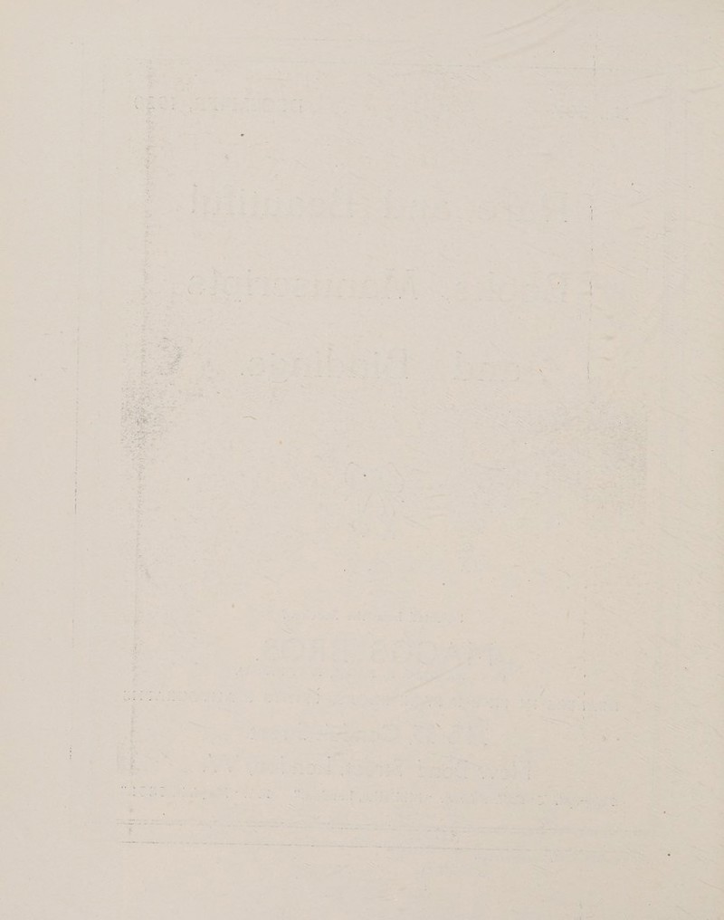 Bite | eh aa i. EE ac ear eer oe = ae ee Pt Wht et us) i, fe in eo ee SS ae tushhse ee ent etm nde Sp ihe Bie Das” Re Pe an ee ee eerie: tacos Soa ae Nc aah a iaemete: 