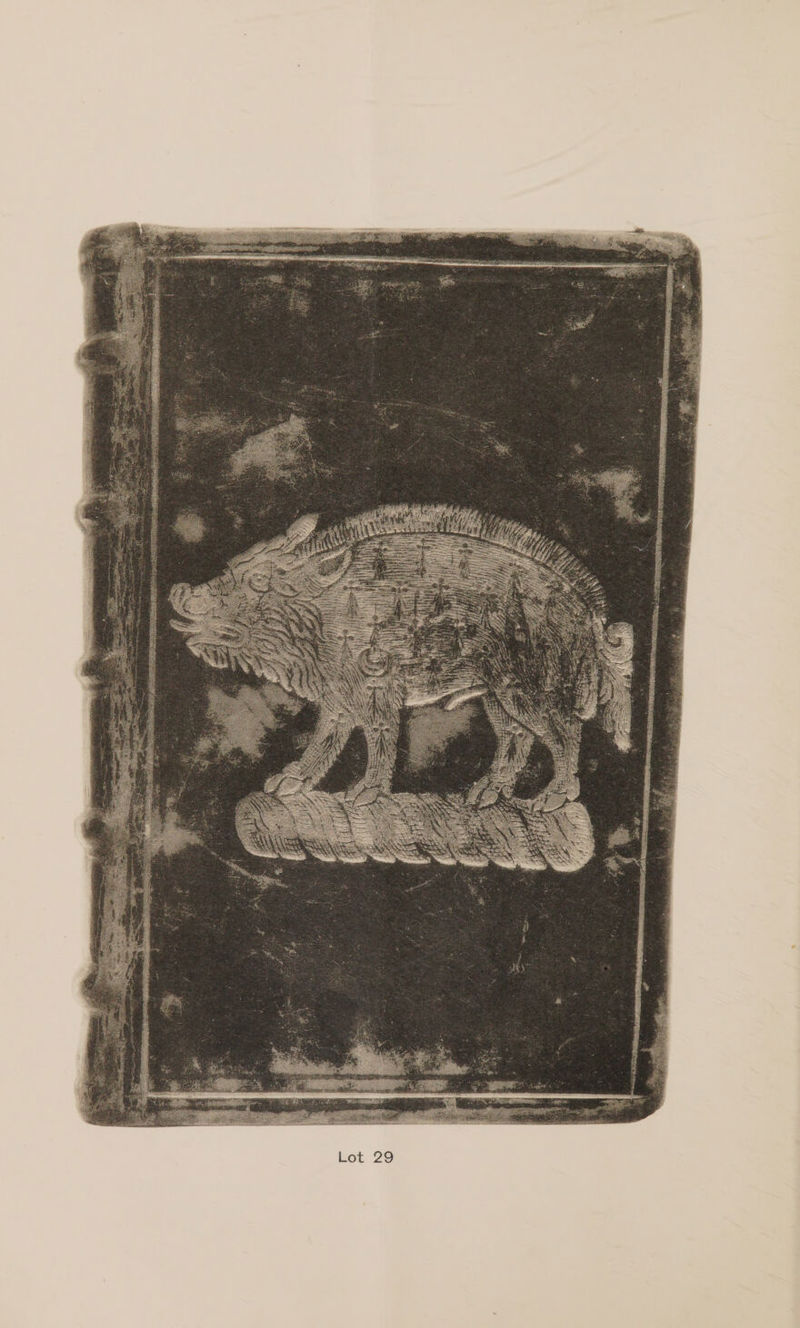 No text description is available for this image