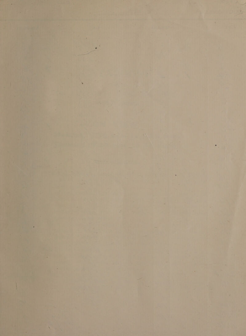  : - : ’ - a &gt; 4 ar 4 2 4 7 : ; bee l.* oe Perse a =~! i Pe Patch &lt;&gt; A _ . oe eT