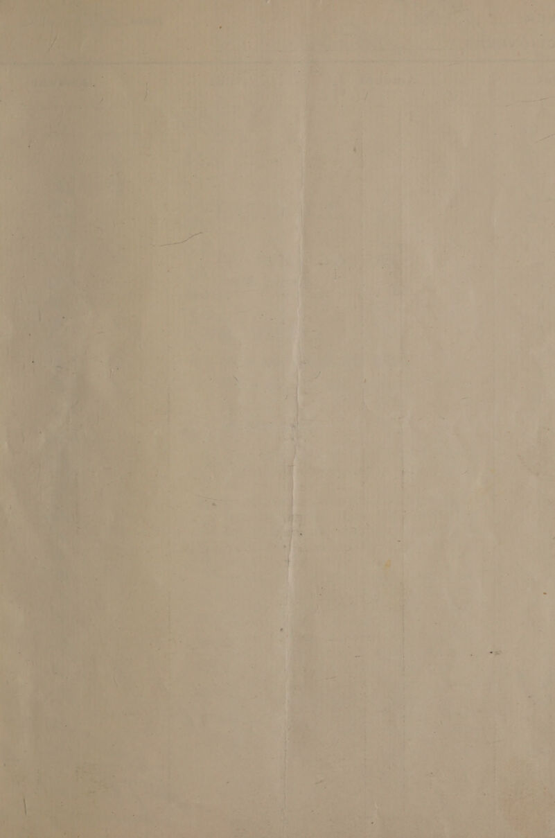  - . - ¢ . ‘&gt; Ee et ee ae ‘ i t i