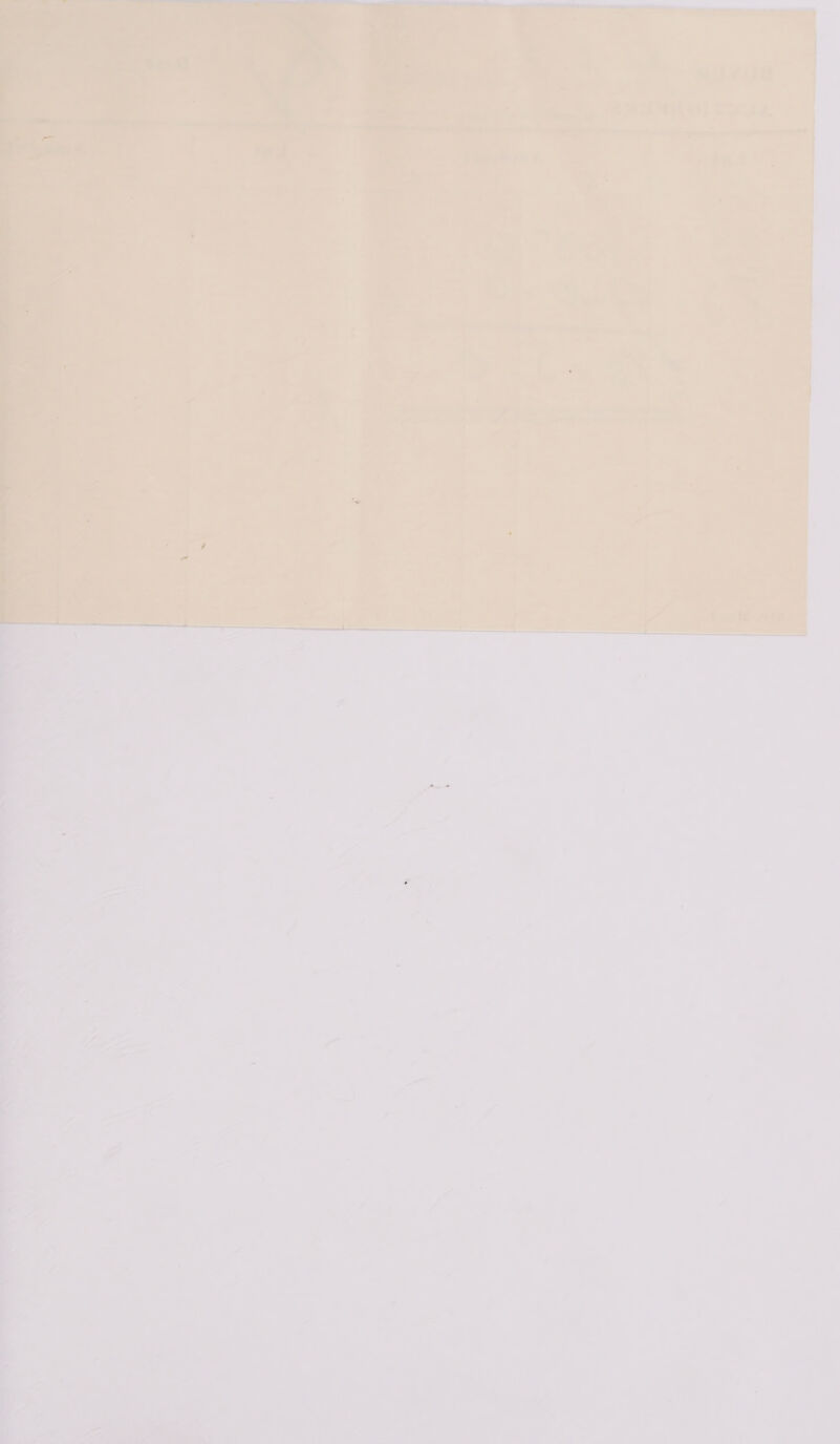ba . . esvus | aac? 298WK Oi Puls : ri | 1) oe  ‘ % i o\ a oe ¥ a ; ¥ hae ae “ g A ‘ ; J +c - | - eee 7 y te ed a ar’ =D a / | ; ~ 52 ras a > —a So \ ‘, ts | , Jo “« | fun’ lhlULvee et! se ‘ r a - > i, 7 7 ?