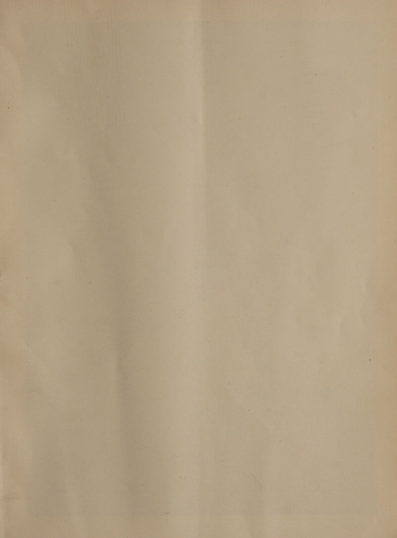 es ar Ler : w ee a zs - a a. *) 7 rerty., NK fae We +6 Ps, / acer = fe 14 oe a. 2 i Ae « os 4 | ~ a *, - ¥ J . iV -* : ; . 