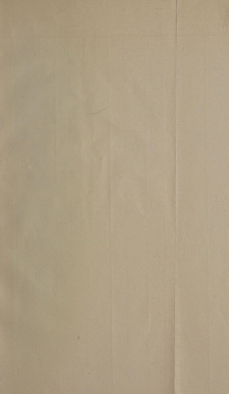 a,       SS t i ‘ i i , B 7 i ‘ Pais . 4 ‘ a fine ; j i 4 if > t - - J i ; rie “ON, Pheri a on ‘ i] vr f } 