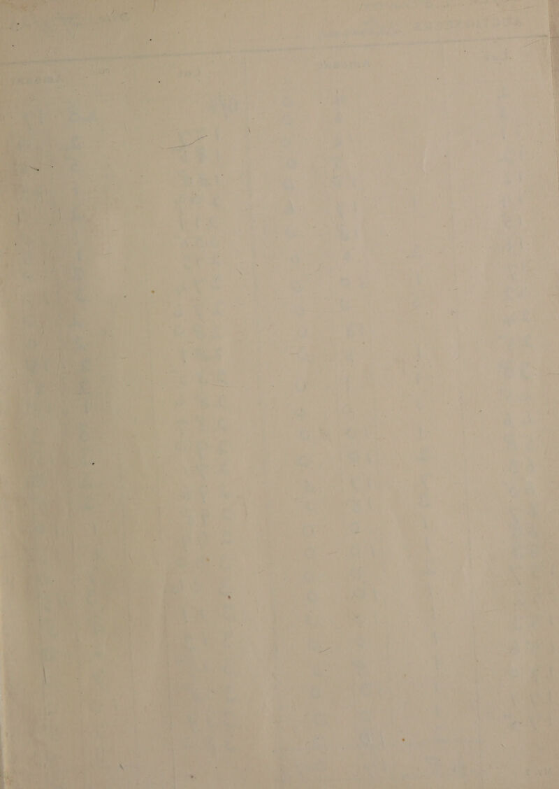      i ik ea ie 9 We. * * 7 + a ; i : . ' ‘ . i A ’ a 3 . . 4 : RB ye? otis imine ‘ oo be Sree 7 te a ; , ; Vas * aia  is  os S ——— nil a aie 4 \ ~, :    ! > Mi Wet : ge ; ~ ‘ - “a 4 L¥ toy ly : Fs) =e, ‘ ba vi 4 &amp;: eG iH o Ree ir AP ak cho e ee aes ‘ me ee SR th TAS r Pe) ‘ s r j hes ©) Ue A: : A ieee pit See i + oa ae