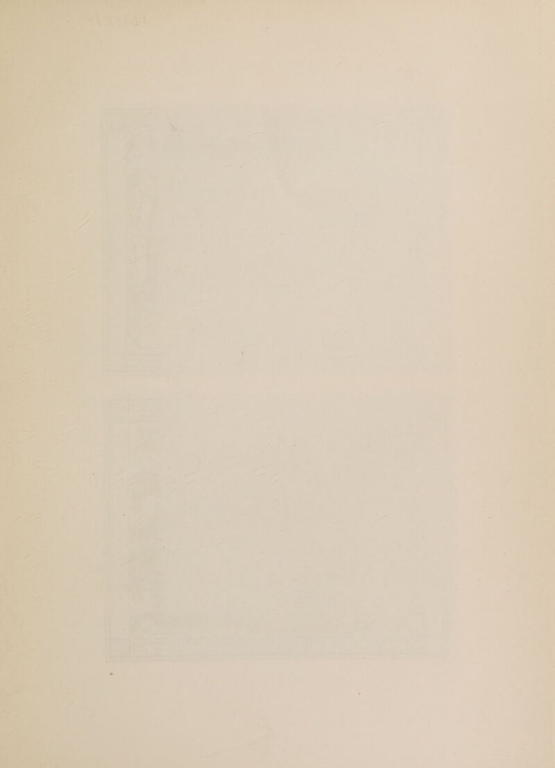 - Mo 28 a : ant = _, ‘ > > P ei  