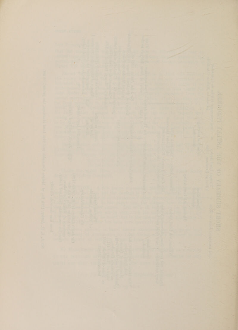 f ete ii = Ny > 4h A 7  oS ‘ 7 i a +? 7 ri ‘ ® f 7 - : ~~, c f ote gs bs YAN ~<- 16 ien peinT — 443 = Pere: af pes all itr iP Zs : : _ ; j a Joos . 5 ‘ a at . * me =< a +4 ; 7 Z fi yo lae ae pt ne > sy f ; 2 4 a Bs : 2 A —_ _ 4 i m : ‘ 0 ' 7 ne J a ; j b oe ‘ | tat aver rmbtt.s se ae, Oe 7 i oe | 4 : ’ }  .: el, A 4, : y > 7 balan / y 7 >> z © f ' é P + * = 2 , ane = ' 7% itAUE OOF NH) Sytelelin Het pf rye: { * i; { ; { : : 7 Ps y : a i Pr beet + LEO gf gs ¢ Ves ilet Gaps wy) ? ie a ; * 7   - ~~ < { : i ; sa : ‘ ; y , . - ‘ ’ ‘ 7 4 f ‘ a fd a t : ’ F = j ; j ( ’ m) i } wives gat + 7 4 se ‘ ; Pag} 4 ° : ’ Site, LBep 25 ae} tt JHE. 4th lag F tri i ; a’ Sn eo cca oy j “ oe ‘ y es , rey te =f ' i. a . ‘e = .# , f aah eG. { enki ry eeu, j - ‘ ‘ : (ee ‘ it \ i i : * id . : f e ? te a? = ee Ls ii ey < sy  4 : 7 — SP ‘ : - f &amp; eae ; i ; ‘ 2 J 2 2 ‘ : ‘ P f . f : ~Sery } 4 if - ey / i -.e 4 ? j \ ; - . We Se ‘ ay Ly i ’ sTilesk , : j a® ’ , ‘ i* y - , M4 Mee =. ; es fi “ Q j . ‘ if i/ 4 - , 7 * Pr’ , > 3 ‘3 { : 3 ‘ . H y oo 4 + ia y 7 tg : { = id 7 r ‘ +] ° Fi ' q ; Lets : 1 z ‘ > 7 7 ~ L L4 a F ; / ; = “he } : ; ; 7 } % : ‘ : . 4 c- * : 7 * 3 % ay ae = 8  + 1} j ; ih Fs ; i Balsa : . , . ‘ ‘ot ¢ ; * = a : ; < % 4 ; i «ia : ; : . 394 , F t , I ~ 4 [ ‘ ; ZI : - , * . - ‘ * ' , a » 7. , é i | , | , ’ Fi ey ' ' . * ’ ; ‘ } hi alt F : - ‘ ris et n é : « Pa é ae te j \ : rvs P 2an : L. 5 : é A : t } by ‘ { j Te: p ia , ri j ‘ . . - 2 vf é e . é i  7 ¥ 5 r . ‘ . = mi 5, ¥ . % ‘ 5 - Zi nal ‘ ¥ . «i a z Py: ts &amp; a4 