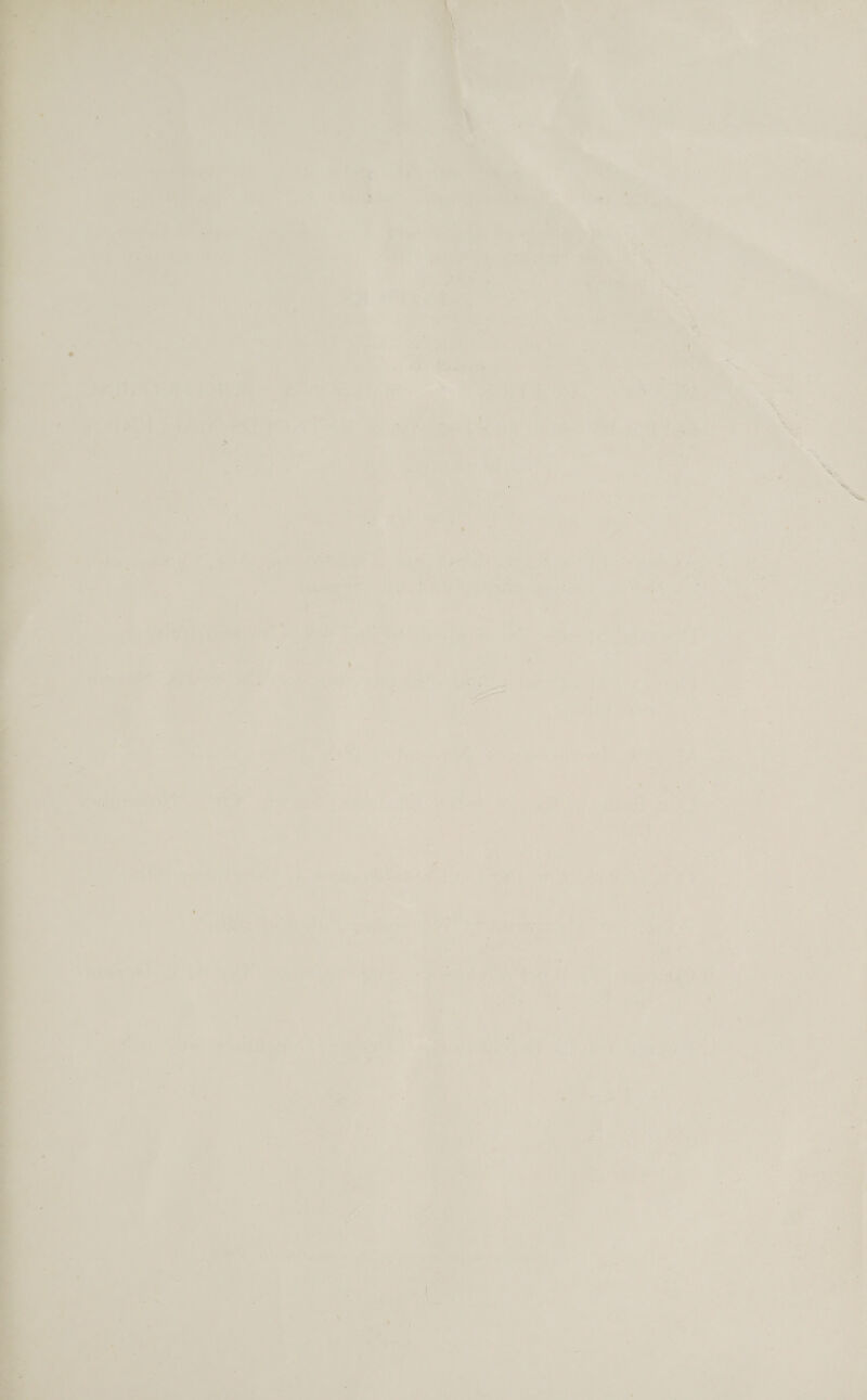    =F e ae m * i, : : ‘ ~ Fi be = « &amp; - : * . ‘ “is by on, i al ¥ a ye th oy Ycera? . § BY = Be fi : id — . het wee ey ‘ % Dit” sty = ’ 1h mee te 4 . Sm 4 . re, |< = - : ~ » - A ‘ i 4 y ie : = h 7 S > ' as * SE ry . = % 4 ai = + ae sn - . + - 4 . ‘ ‘ m * X ' 7 : ‘ ‘ , “ 4 a x ae / ear) . c Lae or : ee ao ya Yer: ¢ een a ' eS ’ h ' * ’ a i \ i . a . , : » ‘ z % . ‘ * : « i eat - . : ‘ * * ’ . ’ ' i r f . y 4  “ eed : \ 4 ra 4 1 7 = - sale be rg ‘ -' = eon Ki < é i % * phe a “—e5 4 >< i. oe ie vad ae oe — | oS MoS 5 t - a « 5 Ji y : a