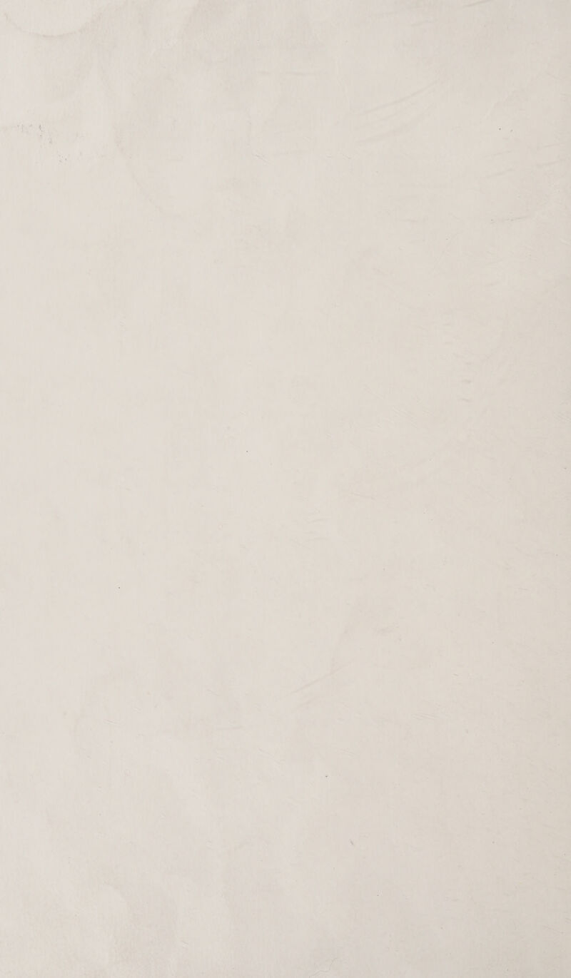  wy  