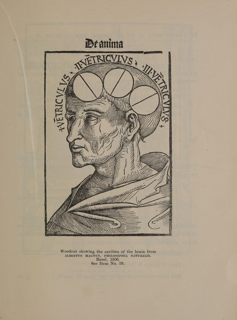 _De anita - Ld ATT ( Ju AN Det / BAe Ay Kye NS ait hy g a \'  Woodcut showing the cavities of the brain from ALBERTUS MAGNUS, PHILOSOPHIA NATURALIS. Basel, 1506.