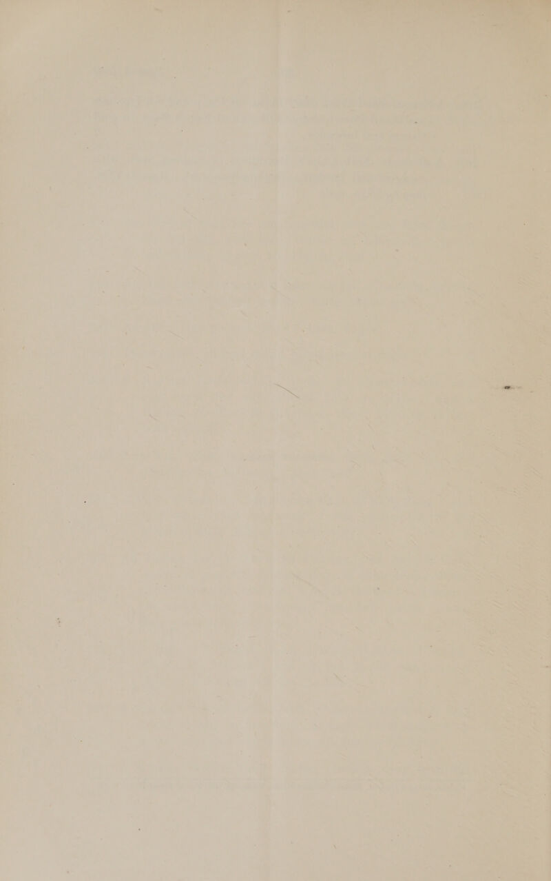   | Tis ~ hat he ta a ee. ‘ Ee ‘ ie: Pod tovines.. Li oo f Eee Bis ee Fei Prag ay ie ie ae           rr ren 5 ; 7 ae : a ia ae ink et fae ta , aes [a ie gees Pei th ten nt “ea aNeega > > ; b m ‘ hy a ie z fea. i ‘5 : is ~ eer: id wee Seige i“ iyaitige IAD Tre ? B : p=: At ‘ ‘ - ee ae a Tee es _ 7 ; oF Ba A. ar vA “a * vG oY ny i: i ¢ be > nfs A de “ pars, — 24 £ a ¥: ie ohare = : ‘ie, oI . F ‘ Ke 4 be tea ie ee te * ay an Ao he s re.  i - : - ’ 4 ‘a id .) TO es = ae : i AAG: w 7 J ’ ™ ad : % i oy Eo ae eh ey ae ts : ‘ n 7 i = ‘ ’ j ee ‘ Ad 3 ‘ Mi ; ; ‘    7 ee  Bers. 5 | Sa a i= ne, a a ; ; poe i, ve oe a “— ‘ - ae ee i a 4 5 , . 4 7 br . * , = D ¥ 7 i. my ‘“ 7 oe) ’ EG ae : ye Pes ch teeta pal oo] “a ae a 2 Pa r. f = P i ; x tate, A ee, 7 ‘ ; a re . : x14 : A _ i ; es : x a on 5 ; 7 F me | Re } rts i. ob ; ; ab : os ‘ A : : i. <7 Re i 5) eh De i ¥ s --.! —_ ‘ may tae os peed pia i it Guts oy bs Hl . P Series oH o9! id my Sy tha F x j : 1 ~ } * ' ; 7 y « a 7 f i < a , - 4 n b, ry cea 7 d ; ; = ‘ *, ; Lae - “s 4 ;