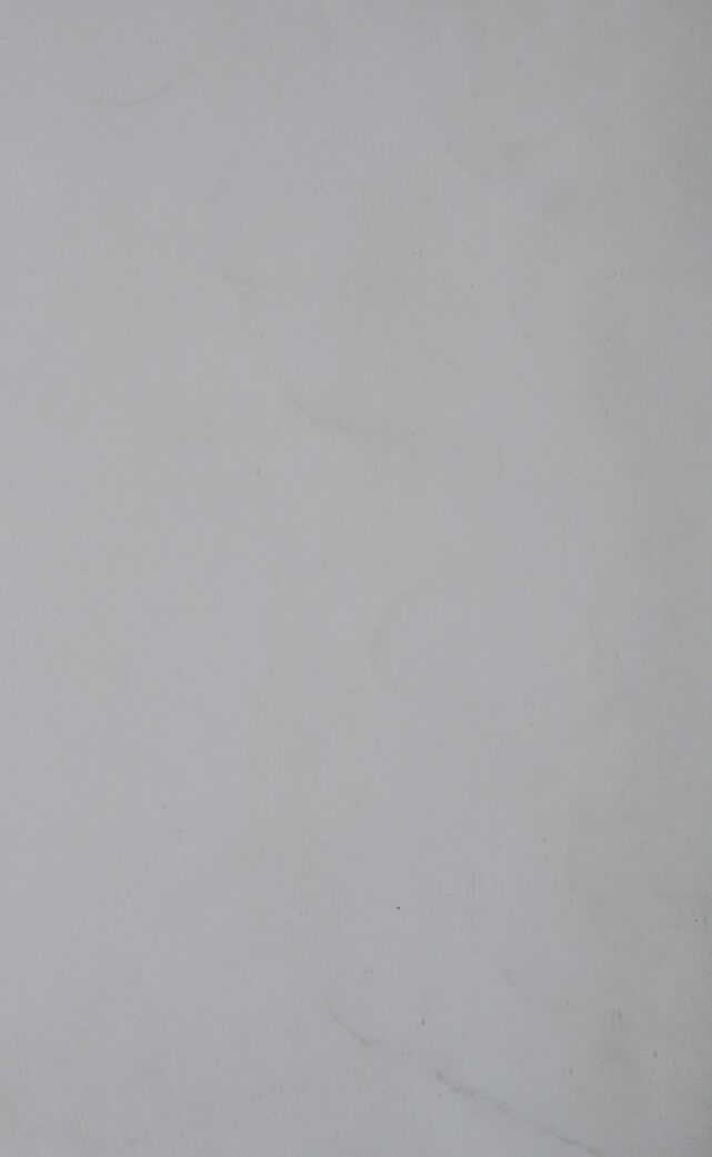 digitised image 2