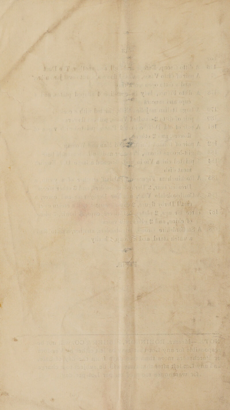 ain) i~ gh yy r NE perbaerimaear dynos tow mete ~ : + . og Lng meterin te nt nyse pate er eaan ennui lyr 