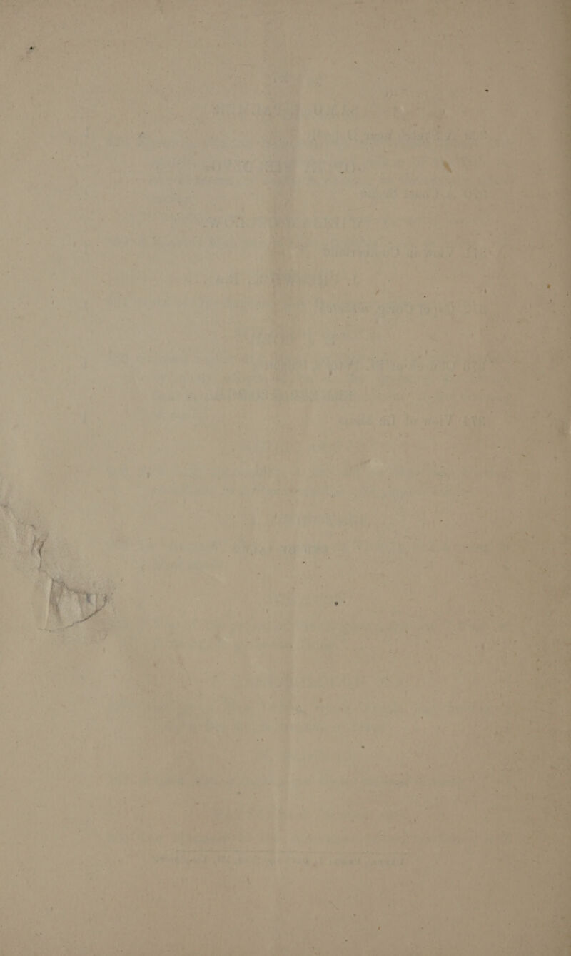              an ; ‘ &lt;e  3 ; : ; re ptt ae is ’ &gt; aes . , Ae ’ - bhinteeip a ged ; . ei Teey i er ie an § 7 ete j i iy : 2 t &gt; 7 ‘ i , er 7! ffs 3 bam ‘Shae be ts in ‘; 1 Abs: « ’ leat F ee fe y | ; : ae i ae hie ' oy” ‘ os a 4 3 $4,’ 59 7 ; i Uae ened ‘ Eads a 0 a MR os te te uf ae aT oe By ; are \ ha nie jit ee cad to Bie. 7 “Ry  hs Ae 10 nee * Ya, ay: