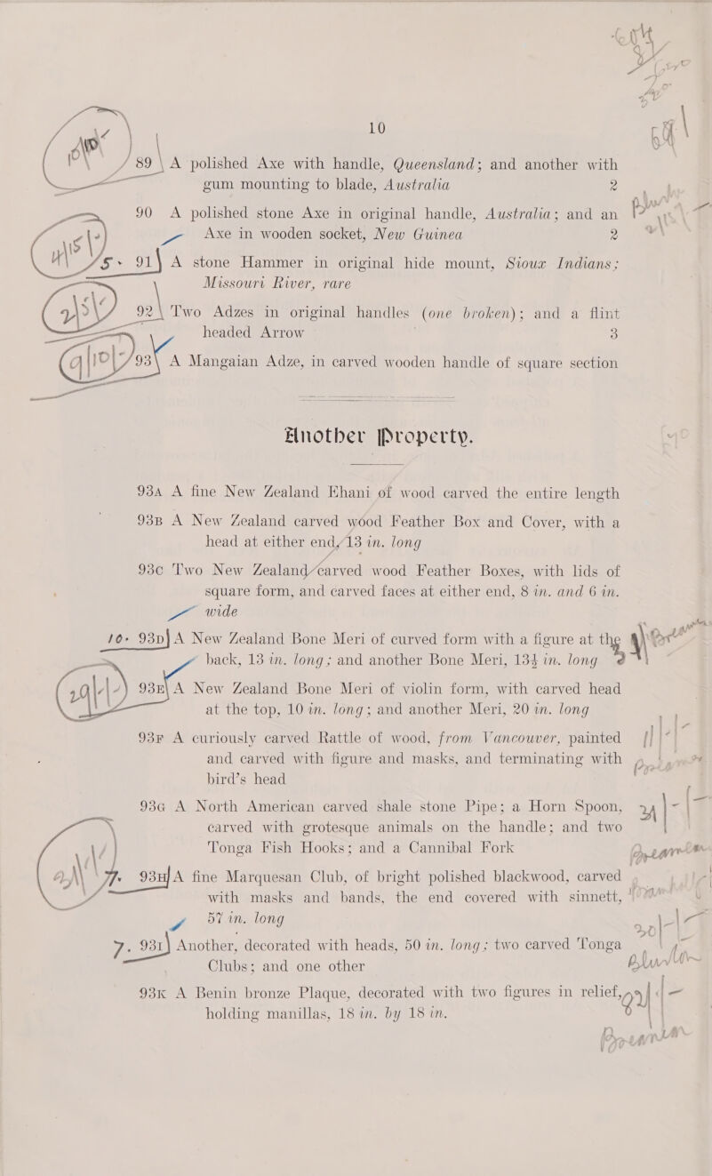    Peres ‘ae 10 a } bP) 59 on os _A polished Axe with handle, Queensland; and another with —— gum mounting to blade, Australia 2 — 90 A polished stone Axe in original handle, Australia; and an pg &gt;) _7 Axe in wooden socket, New Guinea 2 Cis 4§* 91) A stone Hammer in original hide mount, Sioux Indians; a oa Missouri River, rare ae . yy Two Adzes in original handles (one broken); and a flint headed Arrow | 3 Mangaian Adze, in carved wooden handle of square section Bnotber Property. 93a A fine New Zealand Khani of wood carved the entire length 93B A New Zealand carved wood Feather Box and Cover, with a head at either endy13 in. long fe 930 ‘Two New Zealand’carved wood Feather Boxes, with lids of square form, and carved faces at either end, 8 in. and 6 in. = wide * back, 13 wm. long; and another Bone Meri, 134 in. long   93E\ A New Zealand Bone Meri of violin form, with carved head at the top, 10 im. long; and another Meri, 20 in. long 93¥ A curiously carved Rattle of wood, from Vancouver, painted and carved with figure and masks, and terminating with bird’s head 93a A North American carved shale stone Pipe; a Horn Spoon, carved with grotesque animals on the handle; and two Tonga Fish Hooks; and a Cannibal Fork  te! iin. long 7» 331 Another, decorated with heads, 50 in. long; two carved ‘longa Clubs; and one other nwiep 2 ie “a bie] [T| holding manillas, 18 in. by 18 in. nN '