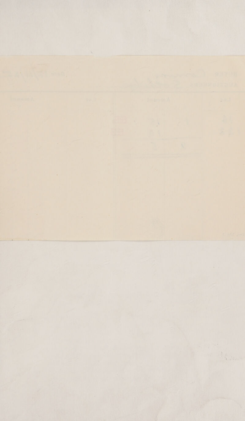         A d ; rate: i ‘C “leu 4a PY Pe Pema iy ee ne traga y * ve. ° t l y f¥ 7 a  Peer. Mei | Ses Bain 1 DUR a et ee om . Ls a eh os al oo le       7 AD : mi) 4 : ay ; - i . , os ars ae a 9 ia: fet ER Eee Ly  . te , wari ve oe J A na = : | saan ae adel ed 