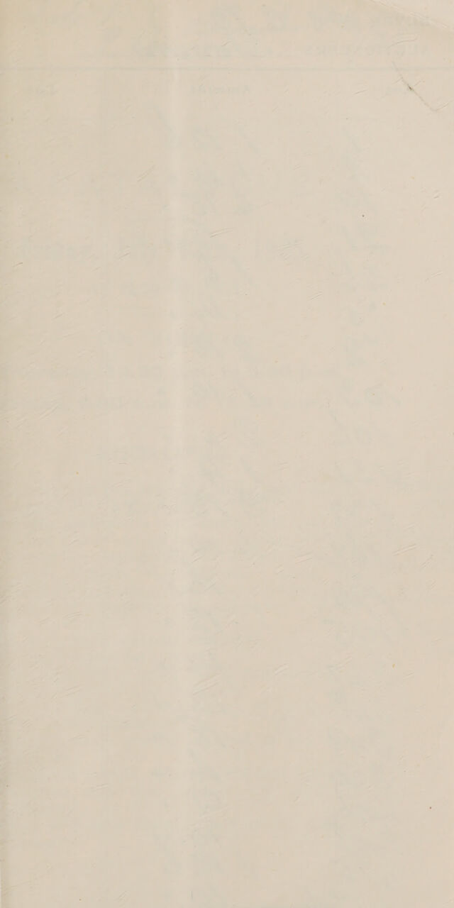 digitised image 3