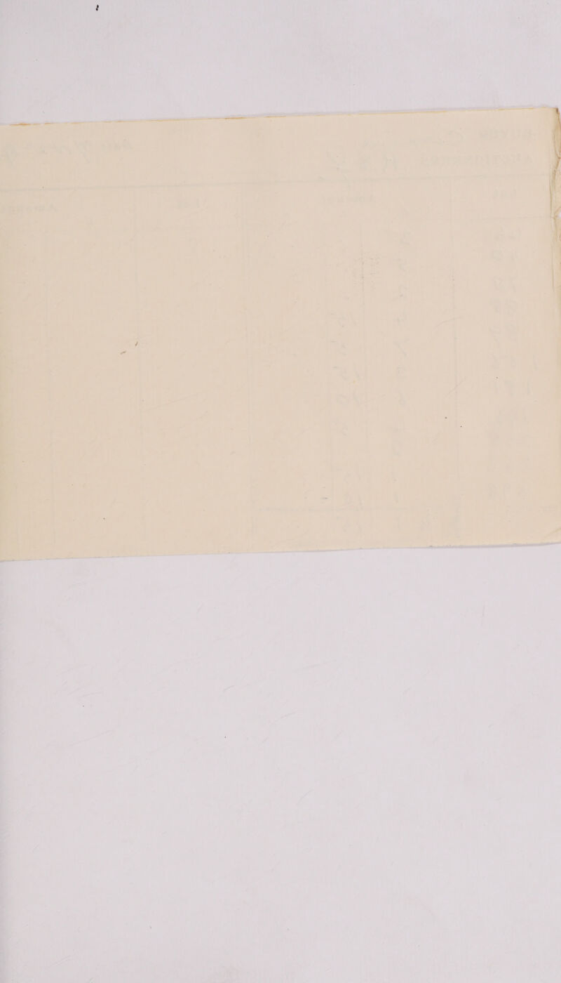 Art. * shes — + RN GRIT ON, cw gents Sees \ § F St 2 ae 