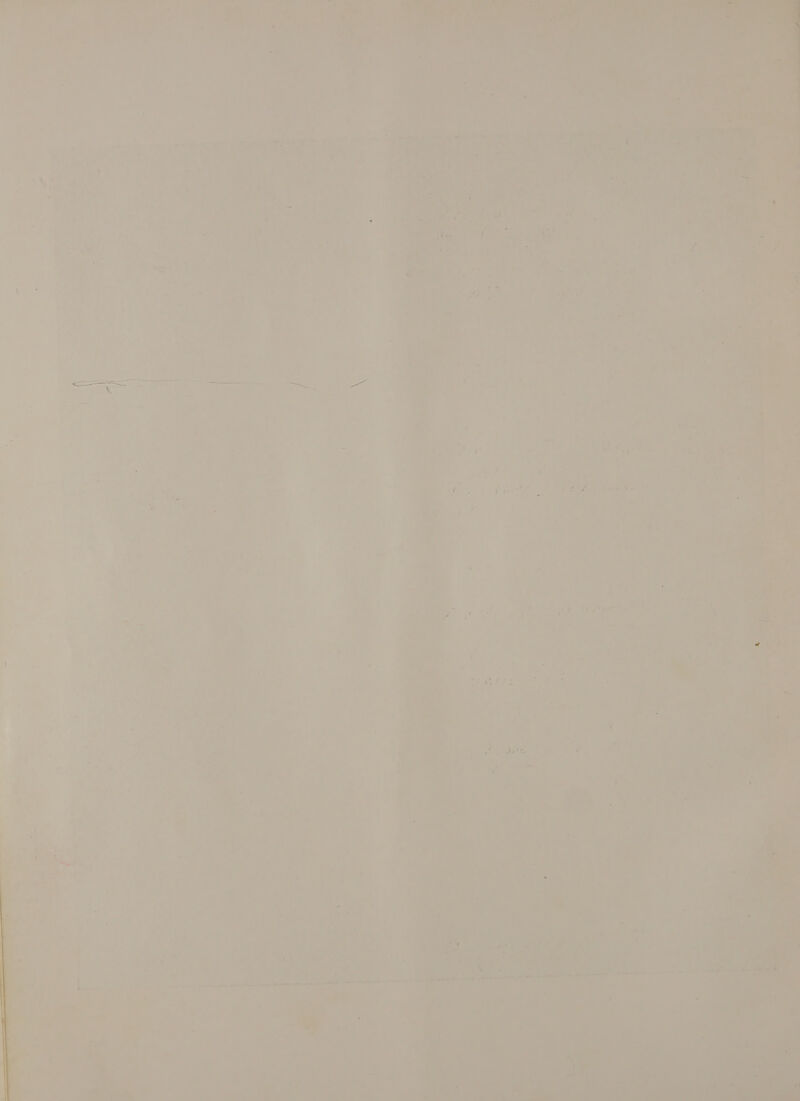   hie ; Am | Tes  + pd Ae  ) , 1 P Mi “hi ; ron . tet Se Pe eee i ; Cea. neva! Tp | LAS ae ye aia re = > = = : . iyi Dyas we Cue Fr + : d ¥ 2 re  . we < ue ‘ i# . yo : \ oi ' A] ie ee é   a ~ - J a a a ie Se. wy at} = p= wa