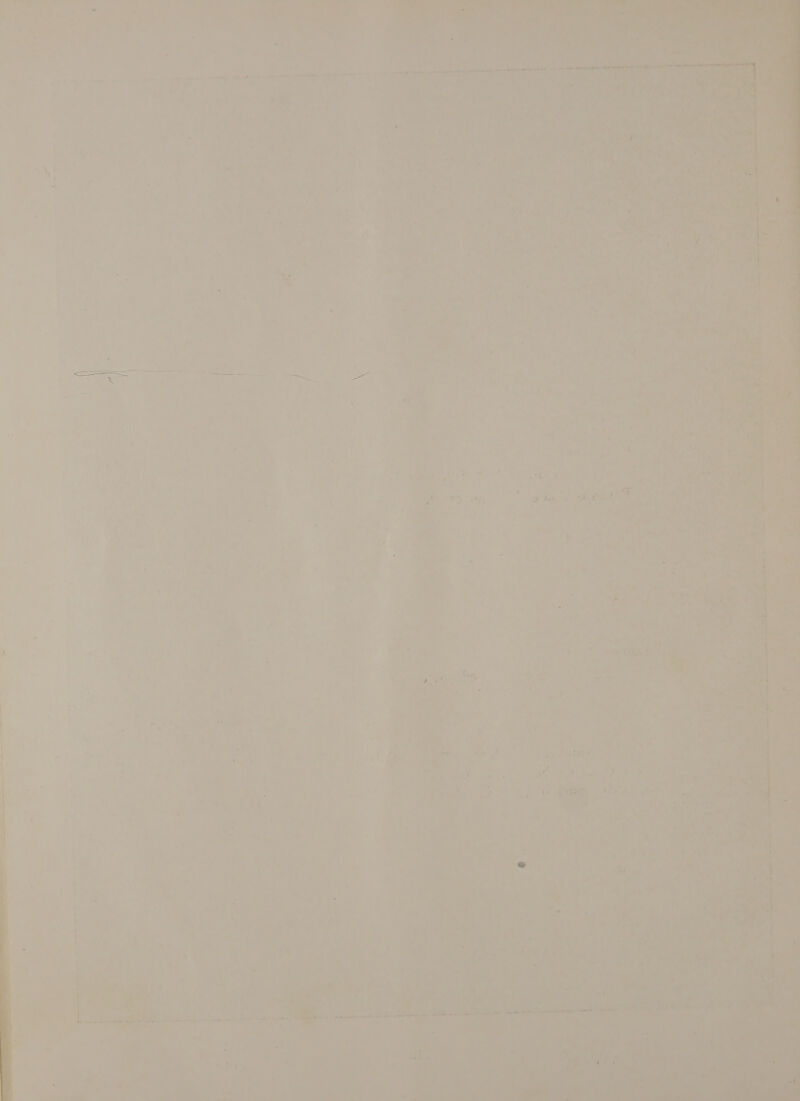  ee dae. < “See sd i : ® aa  ae h cm ‘ 7 © : - ay; i . RK — :  s F i“ ’ ' _ oot sore ae= Vibe  an ‘Nae cP (lhe SP pate he { . i a ~ 7? ig ue se cme J i \ ' 2. ' ‘ re | ‘ a w = 44? : 4 ‘ = i \ As : : ri ~< J ey ‘ : a ra I is 7 o- : 2, : He 5 ; : : ee: i 4 } “ ie, = ne ~~ id s pe , Aan aay \ is 3 \ a : a V ” ‘ a = ‘ : ' ‘ta ‘ A ’ , i  _ rand Bi ; q * ; # 1 a » = ? ; a ‘a ate g % ¥ f ie a oo es i ni rey iy i... ‘el 7 ak ae Xs - 9 7 < vite ‘Ay 9 cs = J re a 7) oy ’ 4 oa 7 ' é . a : an uu ; ‘ » ¢ ‘ a G, ne oe uy m ‘ 4 he i + ! 4 ¢ J  Ee a > “a ra J - Pont italy ay a oe      