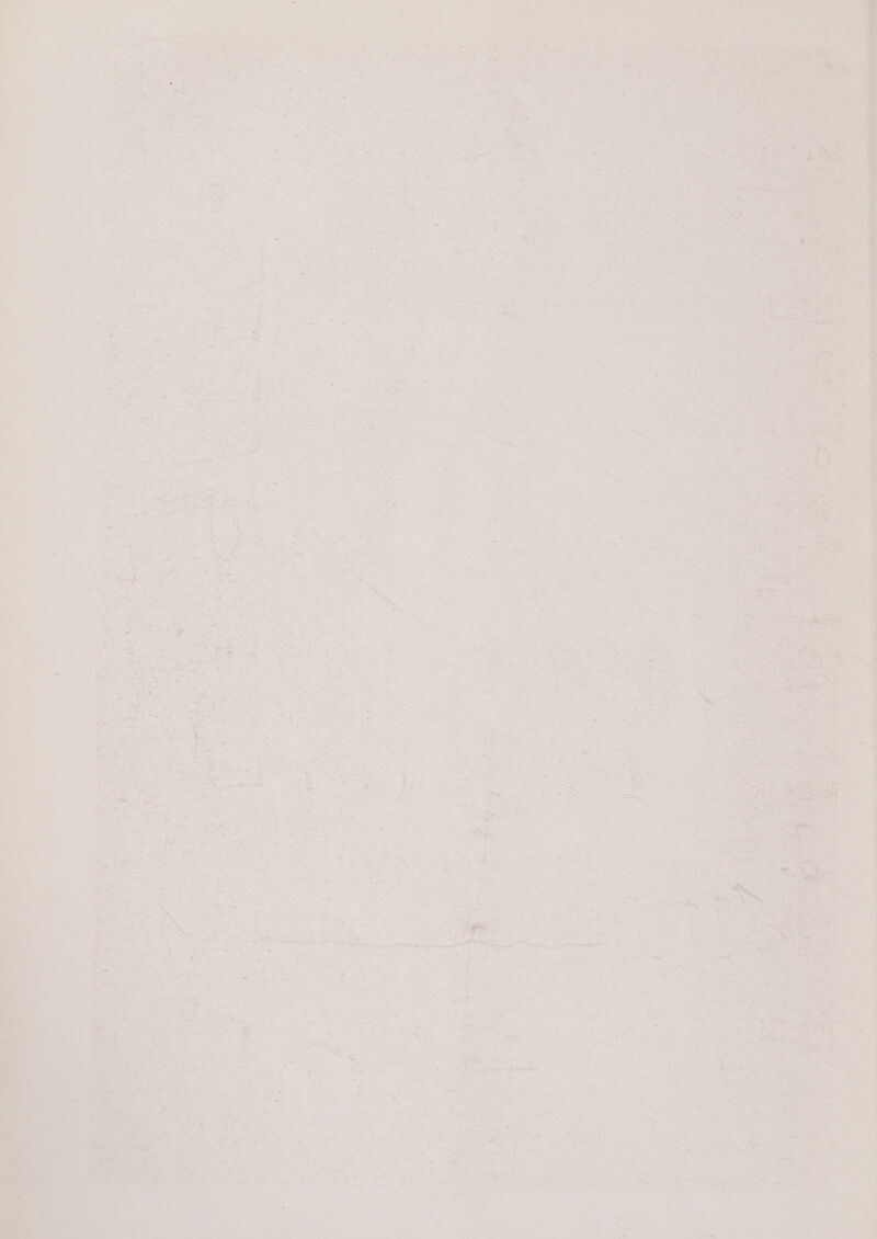 re “-. -* ly ~ie® a's Ya w 