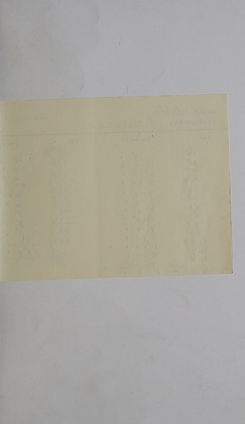  sat =) A , . oe ; i Pe &lt;P f } mH), = “\ tARg.. ae * ————— oe * $ ® &gt; « bd , nl 7 2 ‘ - P, i 7 x » ‘ 4 oe ® ' pw &lt;_- a F ae een : 1 i av ae aX bd ~~ is ie rh an &lt; ‘ek, 7 an Se oe f a Ng y 