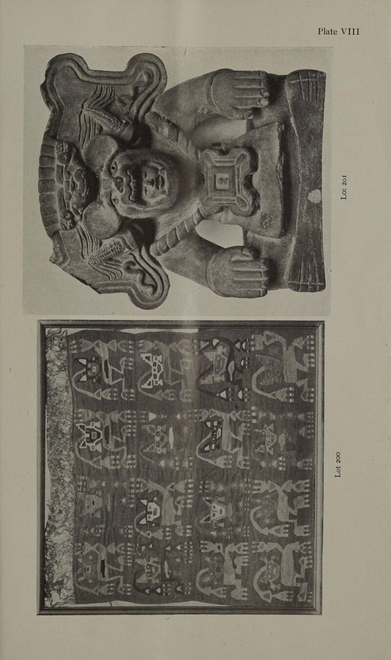 Lot 2o1 SSS sf Lot 200 