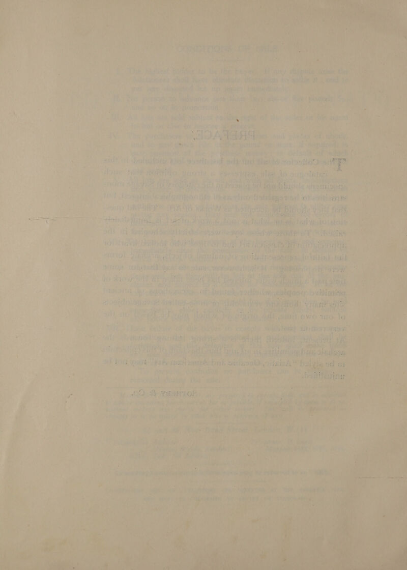     oe d ‘ “ F vA vo are Rw PAP TRIN 4 OE OTN Ws 9 Bren) aan Aer Wed ema ff a a Rak rai Pays)  ¥ eA ork 7 a» hea a Pane ates Fy - LY , ww. ’ 4 * il vy i as hy : ¢ :         aah esl i) Caeaee | , ; we ar | edd Ears: P baja Lie ae iN “ayers, thy is Fete Cyices a ar’ , ' aL ye has fy mt Hone 6 , - hth At ~e i: pot” oa none iy ae ed. ; \ ‘ ‘ip peop cigars ee a eet ae — pls eat Bey i > ee we “a cba a woah an              dou NERD Ah | ate Shh SBR. cl eS ae jet di tealougtdnelt Ree a: Ol ee re (fie ge bias Veen   ‘i ey waa vey Fe y is ris doth i anaes . £ - . 4 f: Fi - 7 :         He eget . he ae ri y i safe yn, mf ‘ oe # te Ba Legare ifs 7) pa a) ie icine Te Adi ee ‘> a) tas) ae ap! ae recone pre ies vi) ruses say ue’ a a: a), s ny Ca dake fier ey av a te ah Fi ra J ‘es’ 4 Peas of. (a i cet 7 em hee 4 Ve