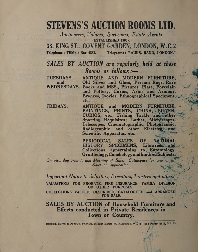 STEVENS’S AUCTION ROOMS LTD. Auctioneers, Valuers, Surveyors, Estate Agents (ESTABLISHED 1760). 38, KING ST., COVENT GARDEN, LONDON, W.C.2 Rooms as follows :— TUESDAYS ANTIQUE AND MODERN FURNITURE, and Old Silver and Glass, Persian Rugs, Rare WEDNESDAYS. Books and MSS., Pictures, Plate, Porcelain and Pottery, Curios: Arms and Armour, etc.   PAINTINGS, PRINTS, CHINA, ~SIEYi CURIOS, etc., Fishing Tackle and:   Radiographic and other Electrica}-&lt; Scientific Apparatus, etc. — ; HISTORY SPECIMENS, Librarice Ornithology, Conchology and aa On view day prior to and Morning of Sale. Catalogues for any~ otk Important Notice to Solicitors, Executors, Trustees and ot R OTHER PURPOSES. Sf te, a. Effects conducted in Private Residenc es in | Town or Country. 3 * : at Rippik, Smith &amp; Durrus, Printers, Regent House, 89 Kingsway, was; and Forest Hill, S.E.23   