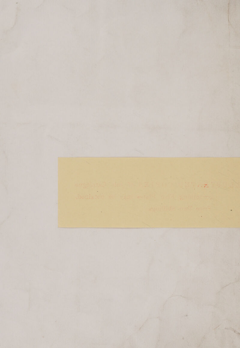    +? Te, “ rae ; J . .T ie a) Al. ¥ ft 7 > or » | 4 a ree 4 : d 7 ork SP? | =) Ghee cage? rrr i WG   ; = Ps ‘ e 2 (Ne 7 ae | ‘ a < an y  ; Bay's | P we ' . er ) r ie f § » Pate = a i re > 