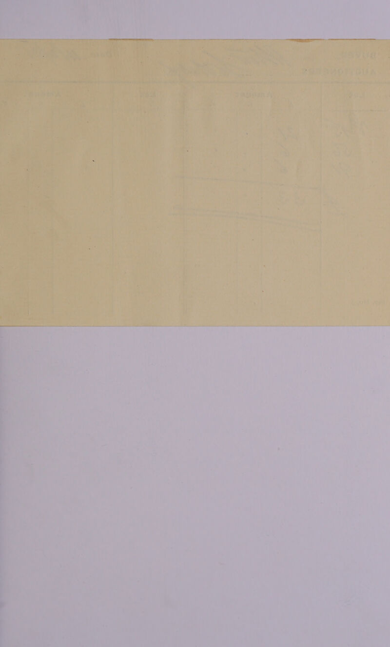    ipa pts COP tl he Sa er WA:      t . { hs ; r a a Fork ' { vr £ ; ’ i ‘ « if A + yy ' . i \ is 5 * “4 ’ © 4 ' iy ~ t 4 i , . aa ' Can, : y , ‘ ” Thies Sic ‘ we nn ea : th i 1 hs 4 au vada) f ¥ } j ot} r Vie ‘ ah i ; TOR 0 es vary 1 ha dean 4 
