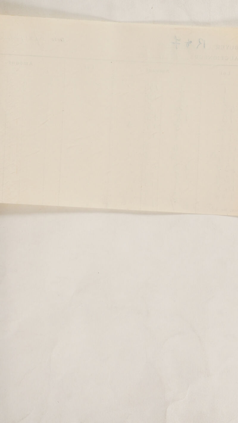  ma Bat = Oe: nett ;   BON Ga tUE SATA OIROUA   ae, iene == = ) —. ie ¥ ie Pee aie are: ‘ii 7 emer aetetia weet 44 isc i ei _ wee > ira : ‘ ‘ - . ae a ey ee | i . . oe s @ re a é ; y “al | ; : an MP TRS OP OEE FL ; ae | | ib tat a sol | vas . ' es ‘ | | | ‘ i ~ =~ 