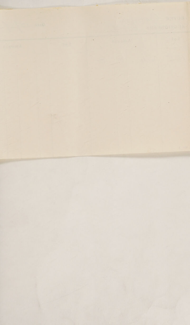  ¢ ¥ 5 f oe Ree oe a “ asaneer toa centered engl mmm rad ~  - Ws ¥ « 7 a. ae ” 