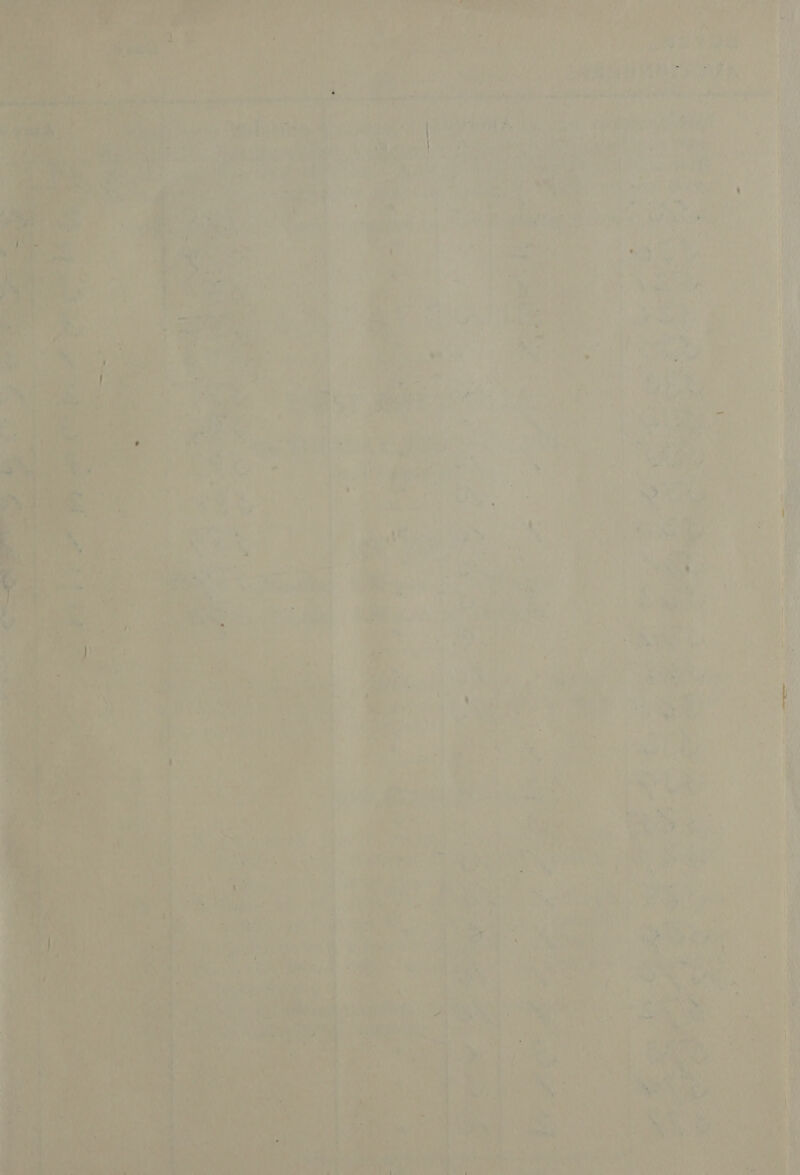          a, 5 Yi 4 isd ’ MP AE fy biped As EI all ek ei ie i bk Ra nes Lele ae ap Be OR Hoh ie aie. +i APN (tho, Amc el ane Le te Pate ae RIN Bef ‘ re . P. - ‘ ’ bd , ie f j am | oe 4 PLA ie ee , Ae, &gt; ; es sede paige kal hinged psead abo’ See. ee | \ : } bei kr ys 4 4 fi . mi '( IoG Me . vee a “y Pe “7 a Ss 2 an i re s Re Mees Vode al Aa 4 . i eee ot Bre Worigsl i 4 : , ; . y ab: 4; ¥ ha eu ; b { ‘is 4a iis ss ! ‘ 32 ee a , “at hes ; Sis (hy i ui Rimmeanee bee CI at la (an ‘ — e.° 7 1 , ate 7 ‘a? a ae P ; 4 Wed aie ? i aN ar, a F f a: Pi oJ a, @ OY here . | ; ie dt Coll (sR Pa. 8 PK ' * ‘ e i « avg m | he are! ee ame Ma eee | aL A [ “| : ae ert ied ¥ i s een } % v Fe « ; r } »” . f LA a! . . 1 fii? , BA » . ( ‘ . . : _ f 4 nf ; 4 | bs J? A, i Tee ie ‘ fe a % “ ‘ ) ree A . od a \ a 4 t ‘ A ‘ | “us : ‘ fu J bg . \ ' : g sal . ¥ - é 7d Ls me i , ; &gt; Bre wo ‘ : ia . 4 | te : * wi hi o? - S fs; p , ' nM AL 4 J te DI * ? . ; : ‘ee hi f H iy . ie j 1g thd ‘ ih ‘ J we! oe , AD i i t ‘RAY. e oF y A wir ” y ix ’ yy é ‘ . “= By 4 : as! See ay . . = 7 ii . 1 iv) ia ¥ Y~ i  a , (yy, 6 7 - si ay ' f de Fw 9 ey 0 : kd, ahaa 