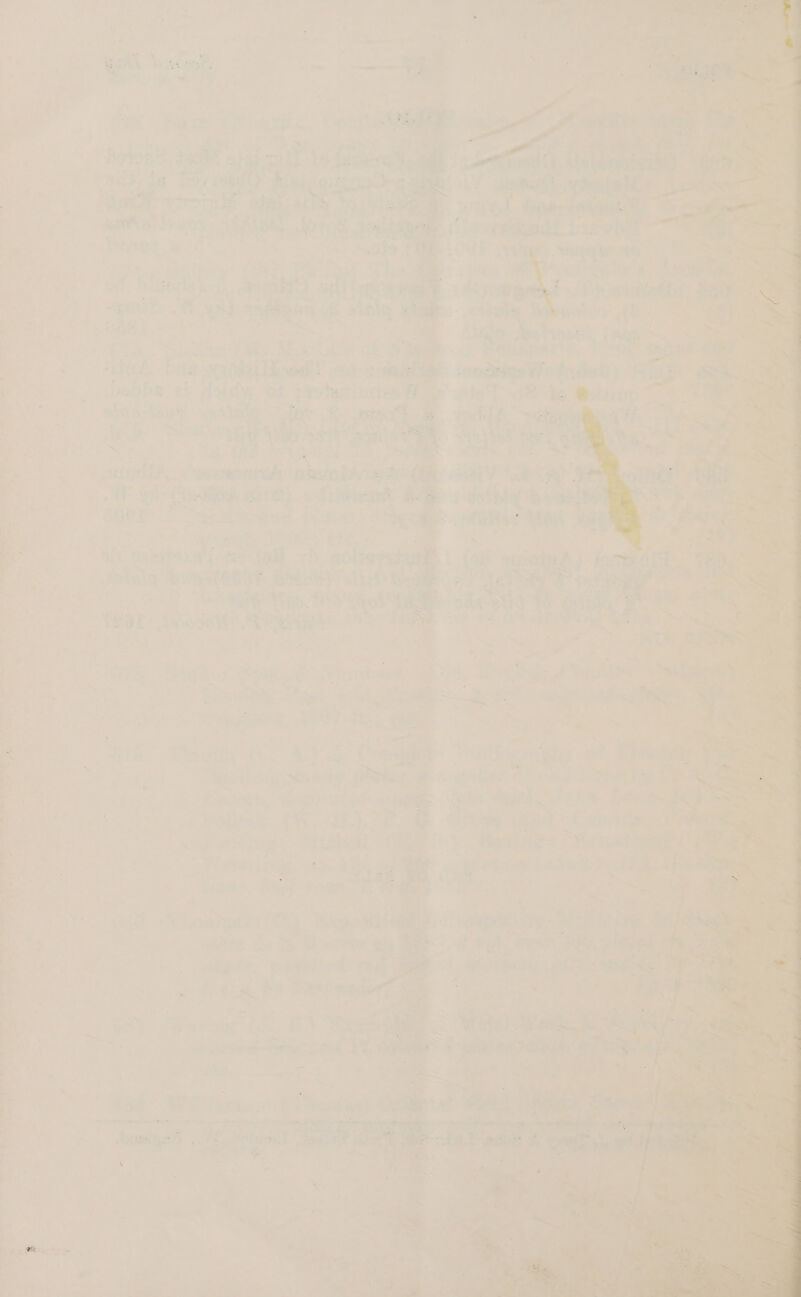 a a i¢ a ae 7 ae i; 7 > t 