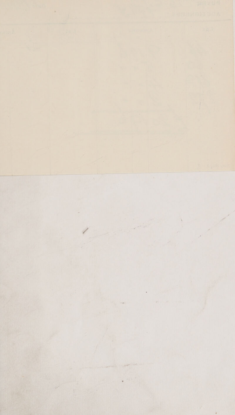 ee ’  * . . | wd oe ; i | | a 7 | ¢ a , n Fey « Ss : : pe a ys 4 a b iy ee | Po &amp; ‘ | a | | | : : | 3 | i | | , | | par »* ie ; f ae | ie y | | e ‘ > | bd Ze ov, oe | | ae | | | . - > |  _ “et ay RA aa et a as . ee: 3 1 ’ . Va fi i weed > ‘i ah, ae ie he 4 } ws ’ is P i é e vl ‘ * 1S ’ I 1  Bilin er me bay 