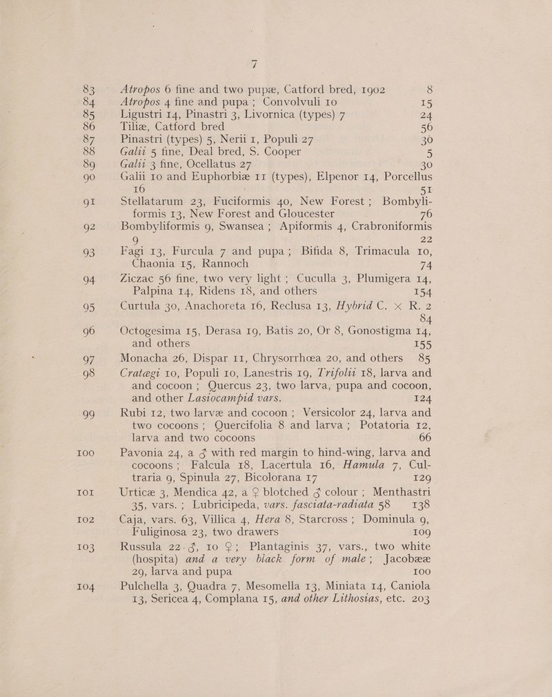 100 LOL 102 103 104 4 Atropos 6 fine and two pupe, Catford bred, 1g02 8 84 Atropos 4 tine and pupa; Convolvuli ro 15 Ligustri 14, Pinastri 3, Livornica (types) 7 24 Tiliz, Catford bred 50 Pinastri (types) 5, Neri 1, Populi 27 30 Gali 5 fine, Deal bred, S. Cooper 5 Gali 3 fine, Ocellatus 27 — 30 Galii 10 and uphennes Ir (types), Elpenor 14, Porcellus 16 51 Stellatarum 23, Satis 40, New Forest ; Bombyli- formis 13, New Forest and Gloucester | 76 Bombyliformis 9, Swansea ; Apiformis 4, Crabroniformis 9 | 22 Fagi 13, Furcula 7 and pupa; Bifida 8, Trimacula Io, Chaonia 15, Rannoch TA Ziczac 56 fine, two very light; Cuculla 3, Plumigera 14, Palpina 14, Ridens 18, and others 154 Curtula 30, Anachoreta 16, Reclusa 13, Hybrid C. x R. 2 Octogesima 15, Derasa 19, Batis 20, Or 8, Gonostigma 14, and others 155 Monacha 26, Dispar 11, Chrysorrhoea 20, and others 85 Crategt 10, Populi ro, Lanestris 19, Tvifolit 18, larva and and cocoon ; Quercus 23, two larva, pupa and cocoon, and other Lastocampid vars. 124 Rubi 12, two larve and cocoon; Versicolor 24, larva and two cocoons; Quercifolia 8 and larva; Potatoria 12, larva and two cocoons 66 Pavonia 24, a ¢ with red margin to hind-wing, larva and cocoons; Falcula 18, Lacertula 16, Hamula 7, Cul- traria 9, Spinula 27, Bicolorana 17 129 Urtice 3, Mendica 42, a 2 blotched ¢ colour ; Menthastri 35, vars. ; Lubricipeda, vars. fasciata-vadiata 58 138 Caja, vars. 63, Villica 4, Hera 8, Starcross ; Dominula 9, Fuliginosa 23, two drawers 109 Russula 22-3, 10 9; Plantaginis 37, vars., two white (hospita) and a very biack som of male : Jacobee 29, larva and pupa 100 Pulchella 3, Quadra 7, Mesomella 13, Miniata 14, Caniola