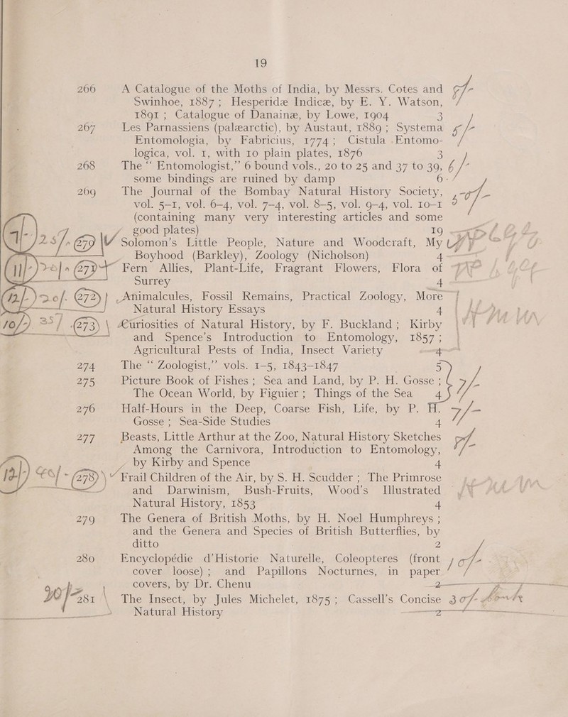  A Catalogue of the Moths of India, by Messrs. Cotes and of- Swinhoe, 1887; Hesperide Indice, by E. Y. Watson, 7. 1891 ; Catalogue of Danaine, by Lowe, 1904 2 Les Parnassiens (palearctic), by Austaut, 1889; Systema 4° /- Entomologia, by Fabricius, 1774; Cistula ue 7 logica, Vol. a, with 10 plain plates, 1876 aie ‘ Entomologist,” 6 bound vols., 20 to 25 and 37 to 39, 6) some bindings are ruined by damp 6-7 The Journal of the Bombay Natural History Society, “f- vol. 5-1, vol. 6-4, vol. 7-4, vol. 8-5, vol. 9-4, vol. Io-1 9 (containing many very interesting articles and some | good plates) 10 wepP> f Boyhood (Barkley), Zoology (Nicholson) 4 Surrey 4 Natural History Essays 4 and Spence s Introduction *o Entomology, ne ; Agricultural Pests of India, Insect Variety | The “ Zoologist,’’ vols. 1-5, 1843-1847 Picttre Book.of Fishes: :- Sea and Land, by:PH. Gosse 2y/ y- a The Ocean World, by Figuier ; Things of the Sea Half-Hours in the Deep, Coarse Fish, Life, by P. , v3 his Gosse ; Sea-Side Studies Beasts, Little Arthur at the Zoo, Natural History he pf Among the Carnivora, Introduction to aoe by Kirby and Spence and Darwinism, SBush-Fruits, Wood’s _ Illustrated Natural History, 1853 4 The Genera of British Moths, by H. Noel Humphreys ; and the Genera and Species of British Butterflies, ditto . Encyclopédie d’Historie Naturelle, Coleopteres in / bal cover loose); and Papillons Nocturnes, in en covers, by Dr. Chenu Natural History one ear